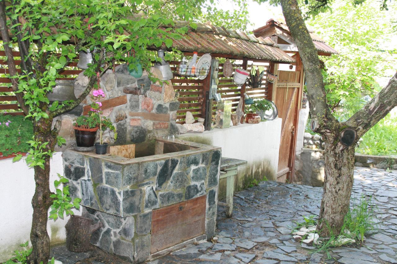 Guest House Kamenik Ягодина Экстерьер фото
